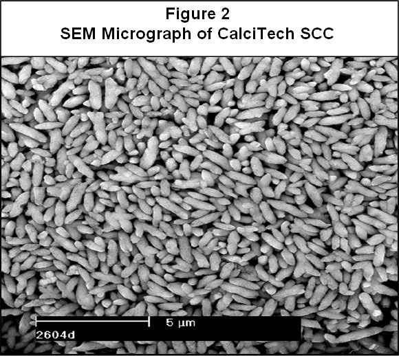 SEM Micrograph of CalciTech SCC